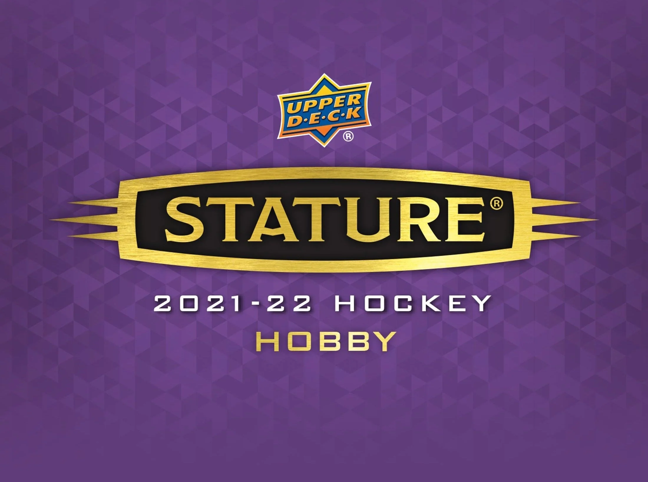 2021-22 Upper Deck Stature Hockey Hobby Box Master Case (Case of 16 Boxes) - Image 3