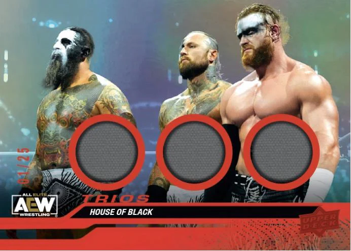 2024 Upper Deck AEW All Elite Wrestling Hobby Box - Image 8