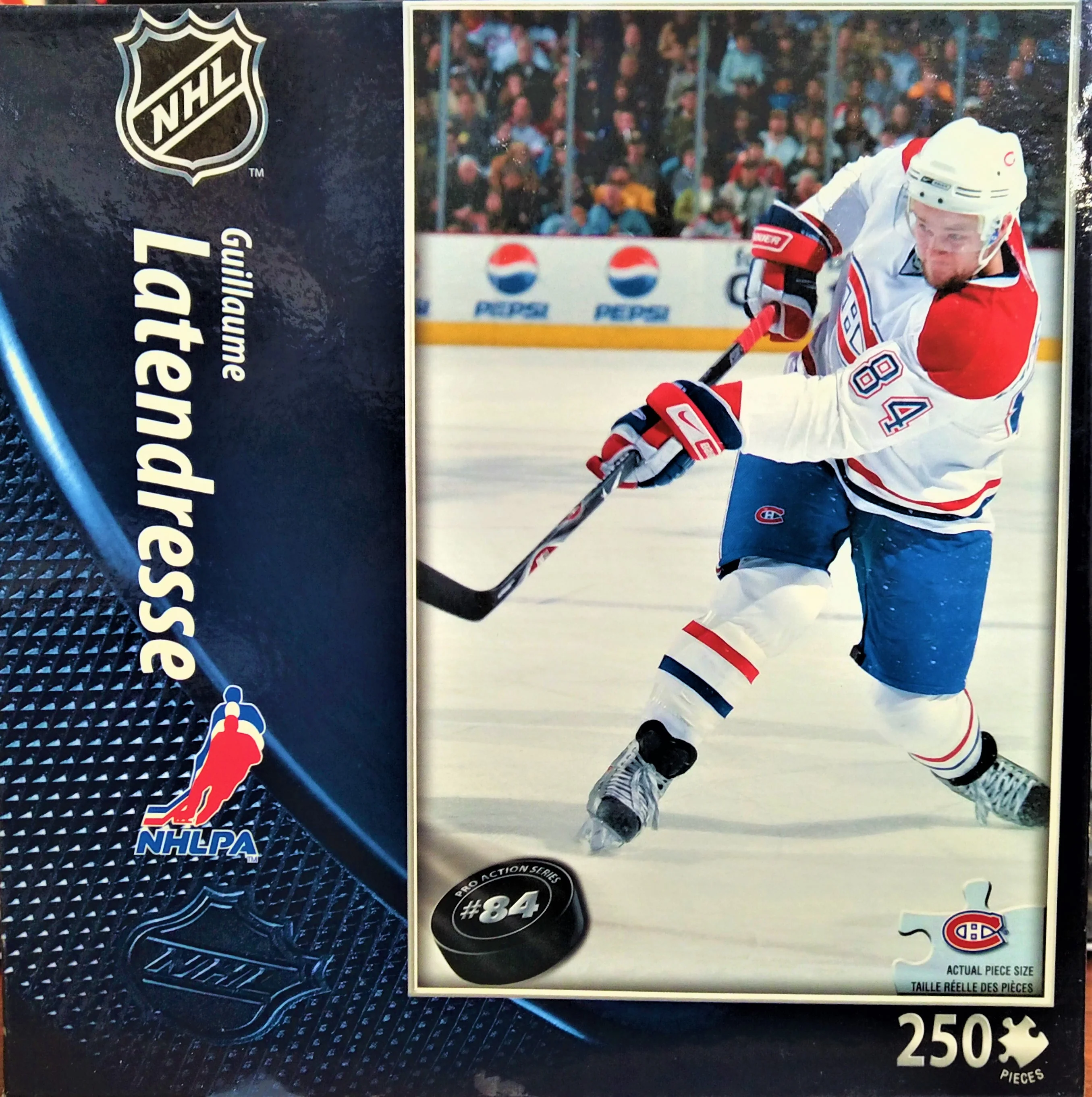 Guillaume Latendresse 250pc Jigsaw Puzzle