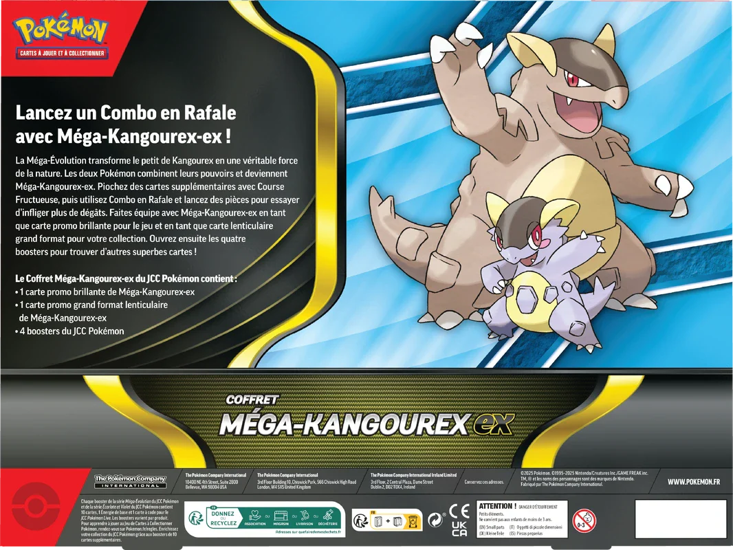 Pokemon Mega Kangaskhan EX Box (French) - Image 2