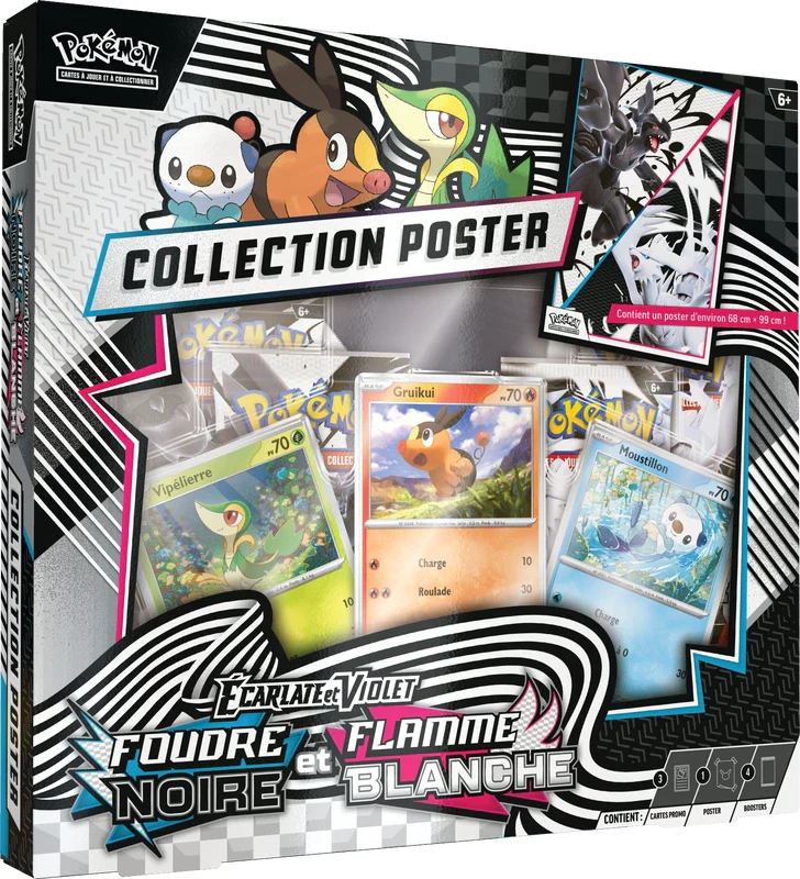 Pokemon Unova Poster Collection Box (French)